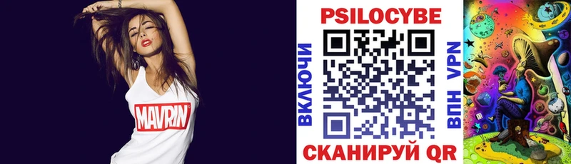 закладки  Кудрово  KRAKEN вход  Галлюциногенные грибы MAGIC MUSHROOMS 